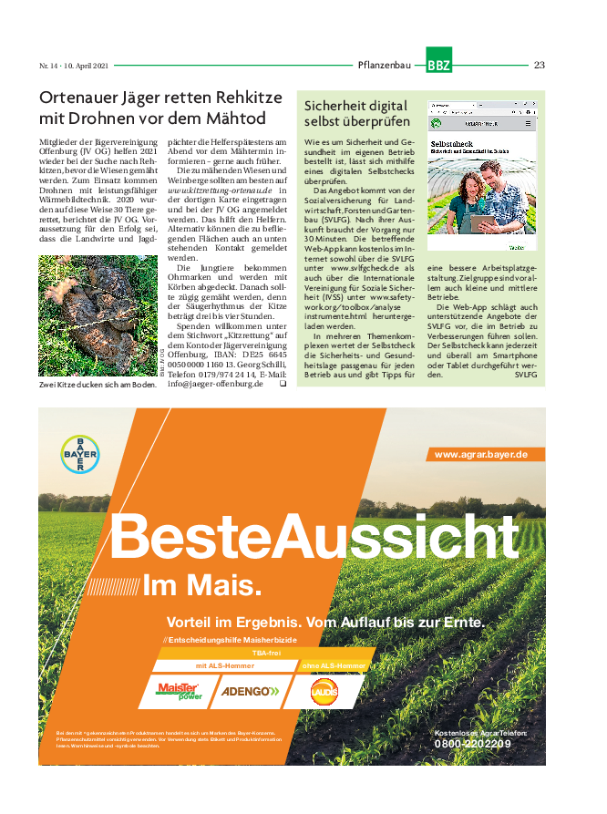 pdf-preview